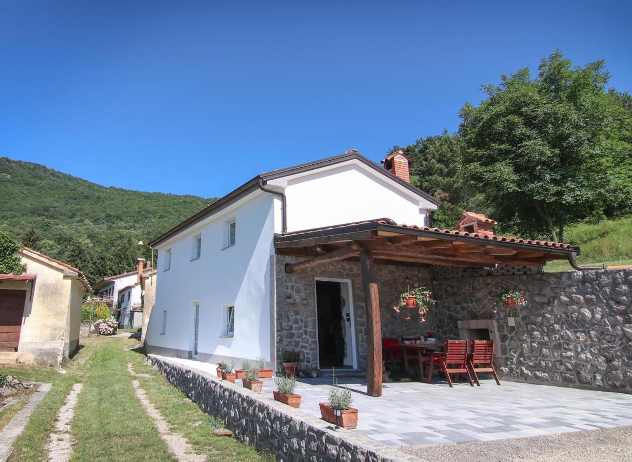 Guest House 'Villa Fani' Veprinac With Jacuzzi Bagian luar foto