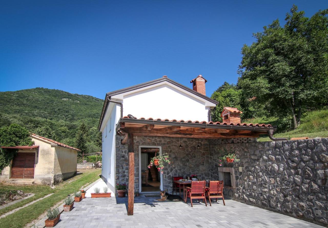 Guest House 'Villa Fani' Veprinac With Jacuzzi Bagian luar foto
