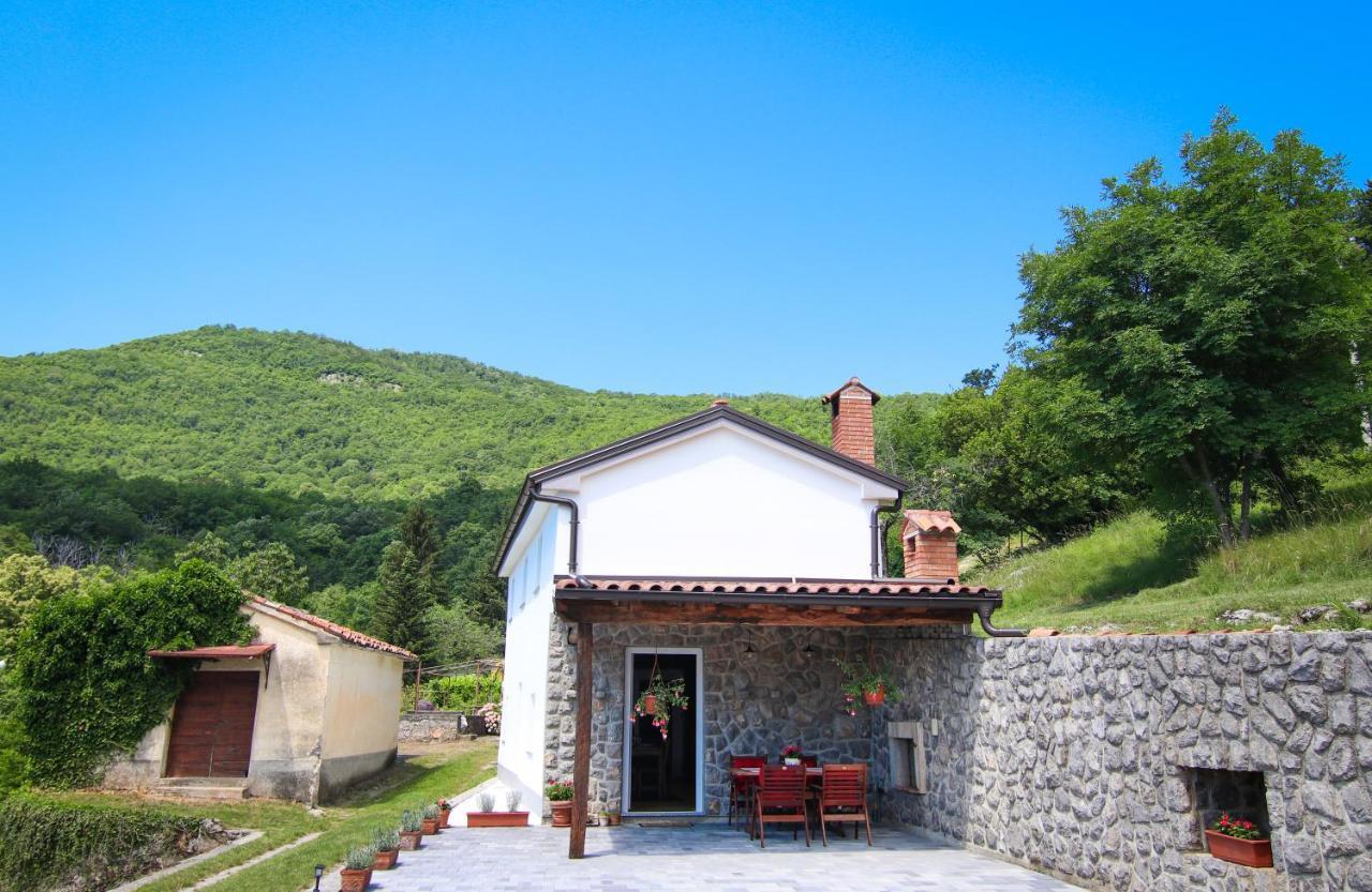 Guest House 'Villa Fani' Veprinac With Jacuzzi Bagian luar foto