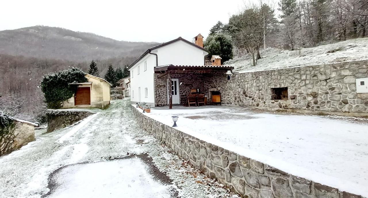 Guest House 'Villa Fani' Veprinac With Jacuzzi Bagian luar foto