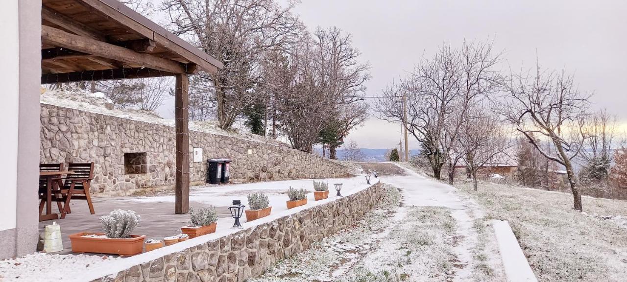 Guest House 'Villa Fani' Veprinac With Jacuzzi Bagian luar foto